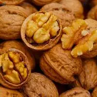 Premium Quality Natural Walnuts For Sale