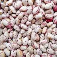 Speckled Kidney Beans