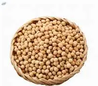 Natural and Non- GMO Yellow Soybean Seeds