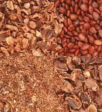 Kibbled Carob Natural Carob Extract Powder