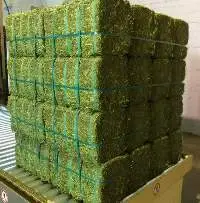 High Quality  Alfalfa Hay and Timothy Hay