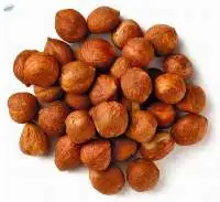 Top Quality Raw Dried /Hazel Nuts