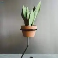 Planter