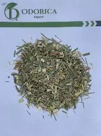 Lemon Grass