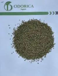 Anise
