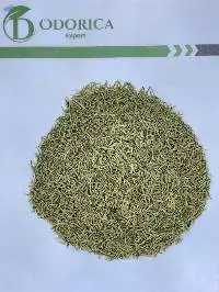 Rosemary