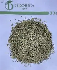 Basil