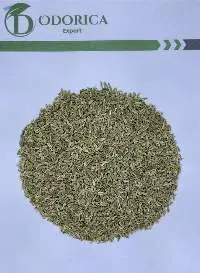 Fennel
