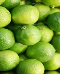 Lime
