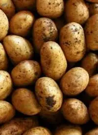 Yellow Potatoes
