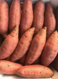 Sweet Potatoes