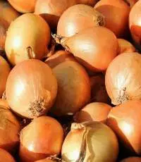 Yellow Onion