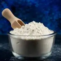 Rice Protein Food Grade