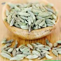 Fennel Seeds (Saunf)
