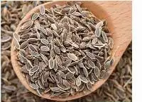Dill Seeds