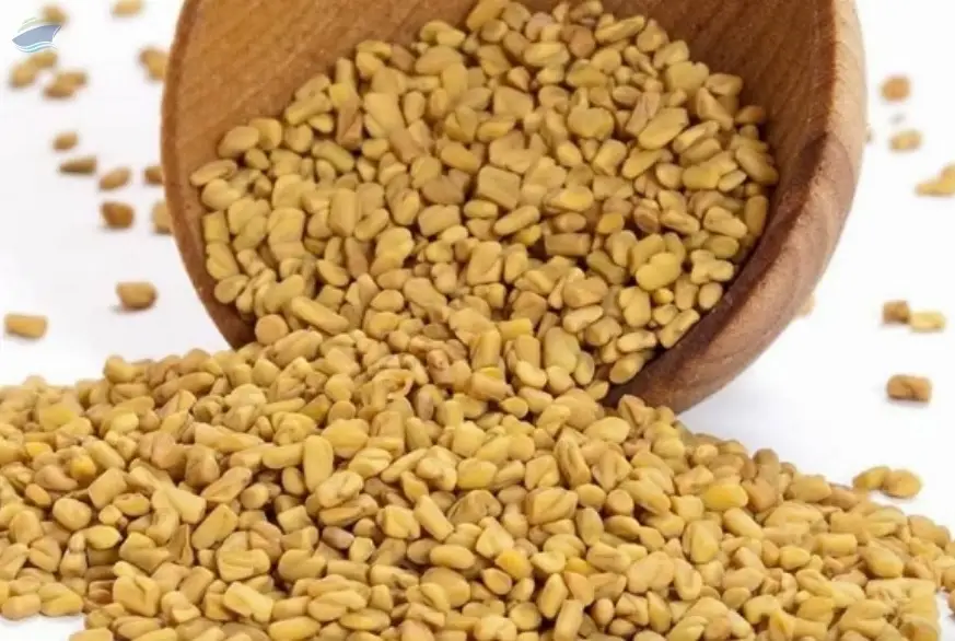Fenugreek Seeds