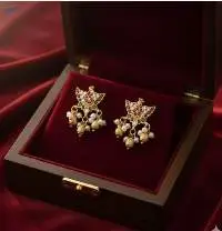 Fancy Design Party Wear Earrings
