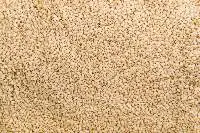 Sesame Seeds