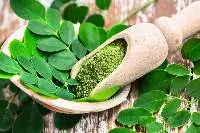 Moringa