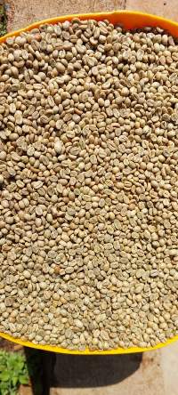 Kenyan Green Coffee Beans (Arabica & Robusta)