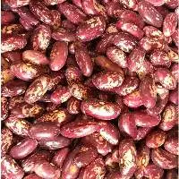 Red Speckled Kidney Beans