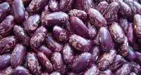 Purple Speckled Kidney Beans