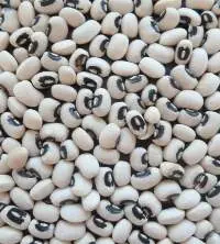 Black Eyed Beans