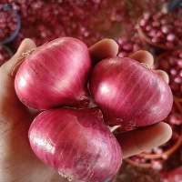 Red Onions