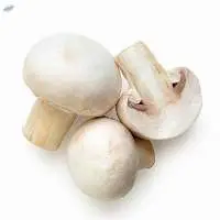 Mushrooms