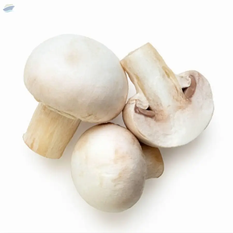 Mushrooms