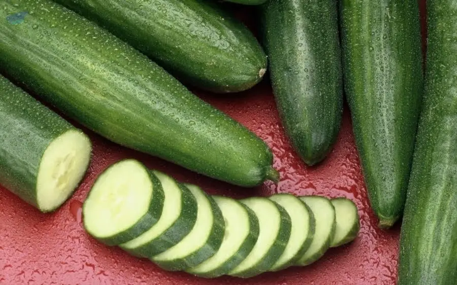 Cucumber