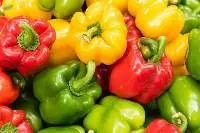 Bell Pepper