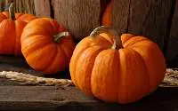 Pumpkin