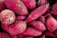 Sweet Potato