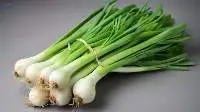 Spring Onion