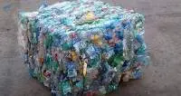 PET Flakes Scrap
