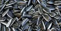 Sunflower Seeds