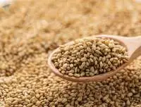 Sesame Seeds