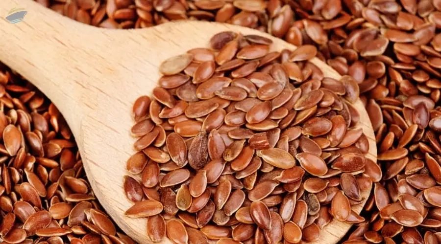 Flax Seeds