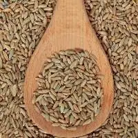 Rye