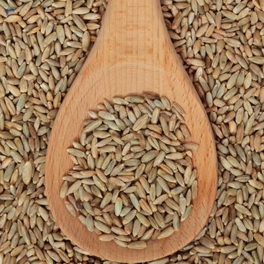 Rye