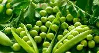 Peas
