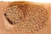 Soybeans