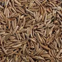 Cumin