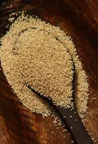 Poppy Seed