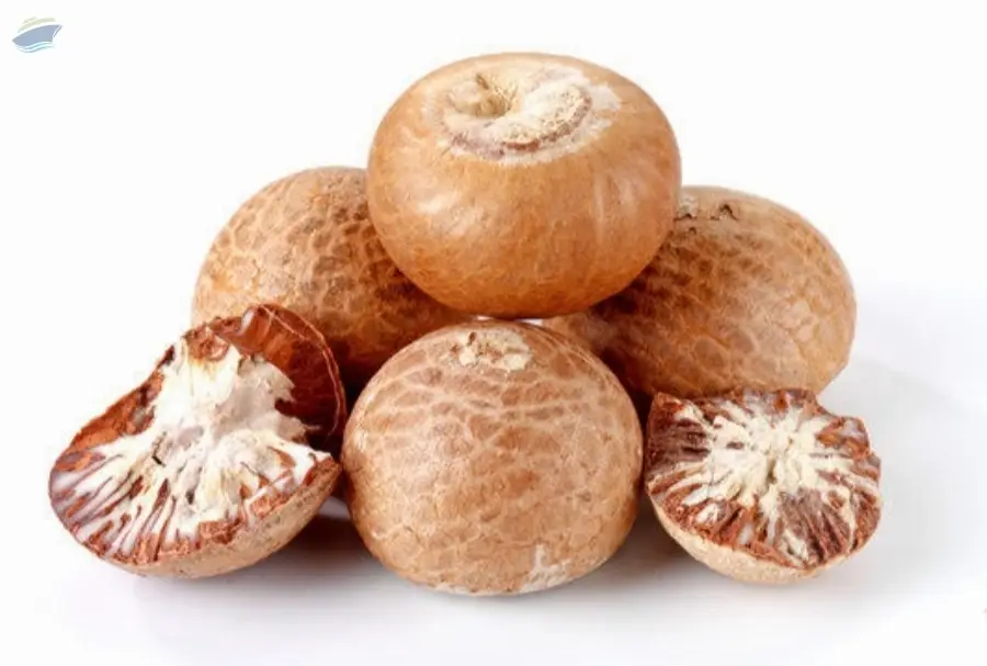 Betel Nut