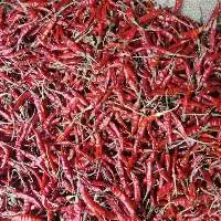 Red Chilli