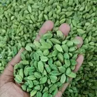Green Cardamom