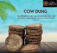Cow Dung Cakes