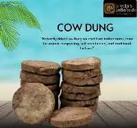 Cow Dung Cakes